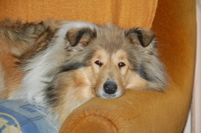 Etinka