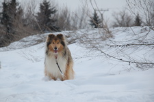 Etinka