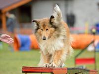 Etinka