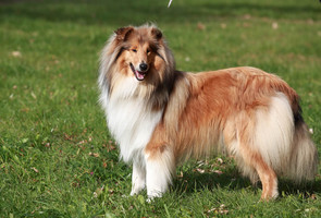 Kendy - 1 rok